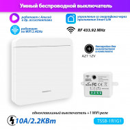 Умный выключатель Tuya Smart Switch TSSB-1R1G1 (1 реле Wi-Fi + 1 выключатель) Работает с Яндекс. Алиса