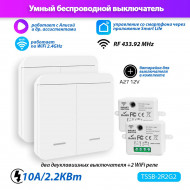 Умный выключатель Tuya Smart Switch TSSB-2R2G2 (2 реле Wi-Fi + 2 двуклавишных выключателя) Работает с Яндекс. Алиса
